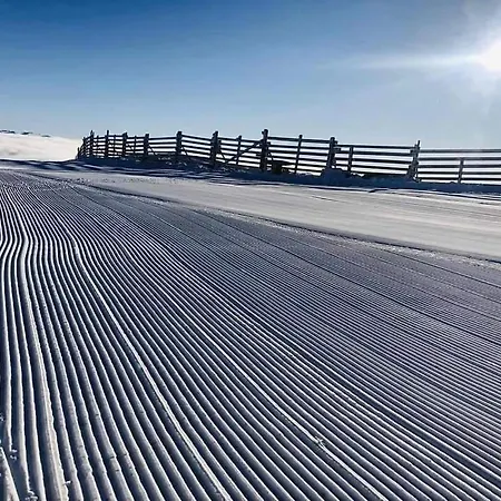 Mountain & Free Parking *